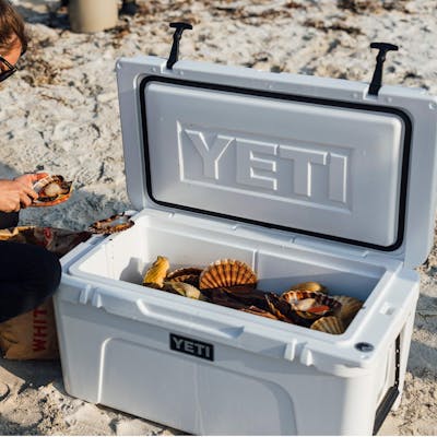 YETI Tundra® 350 Hard Cooler PDP Tundra DayIn DayOut Product Overview P4 Desktop 2x yeticoolershop.com YETI Tundra® 350 Hard Cooler PDP Tundra DayIn DayOut Product Overview P4 Desktop 2x yeticoolershop.com