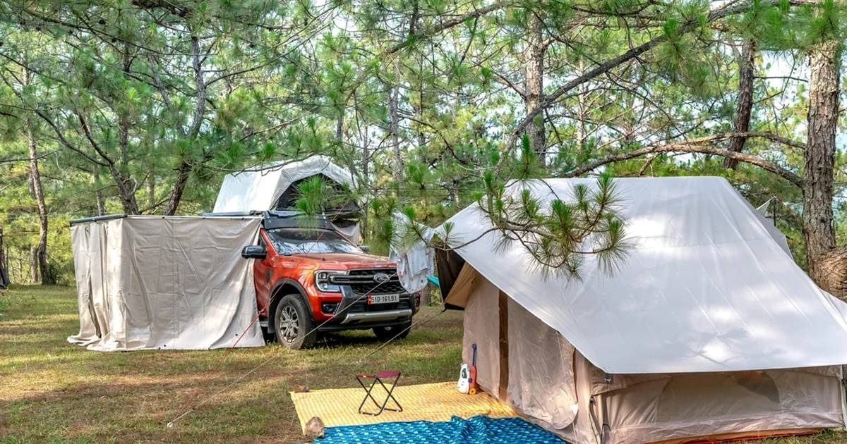 A Comprehensive Guide to yeti tundra haul portable wheeled cooler A Comprehensive Guide to yeti tundra haul portable wheeled cooler featured image YETI Cooler Shop